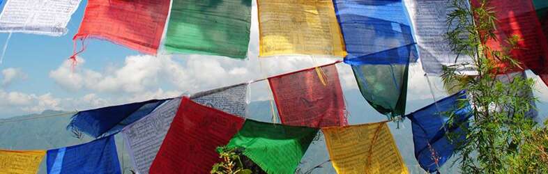 Wellness & Recreation Group