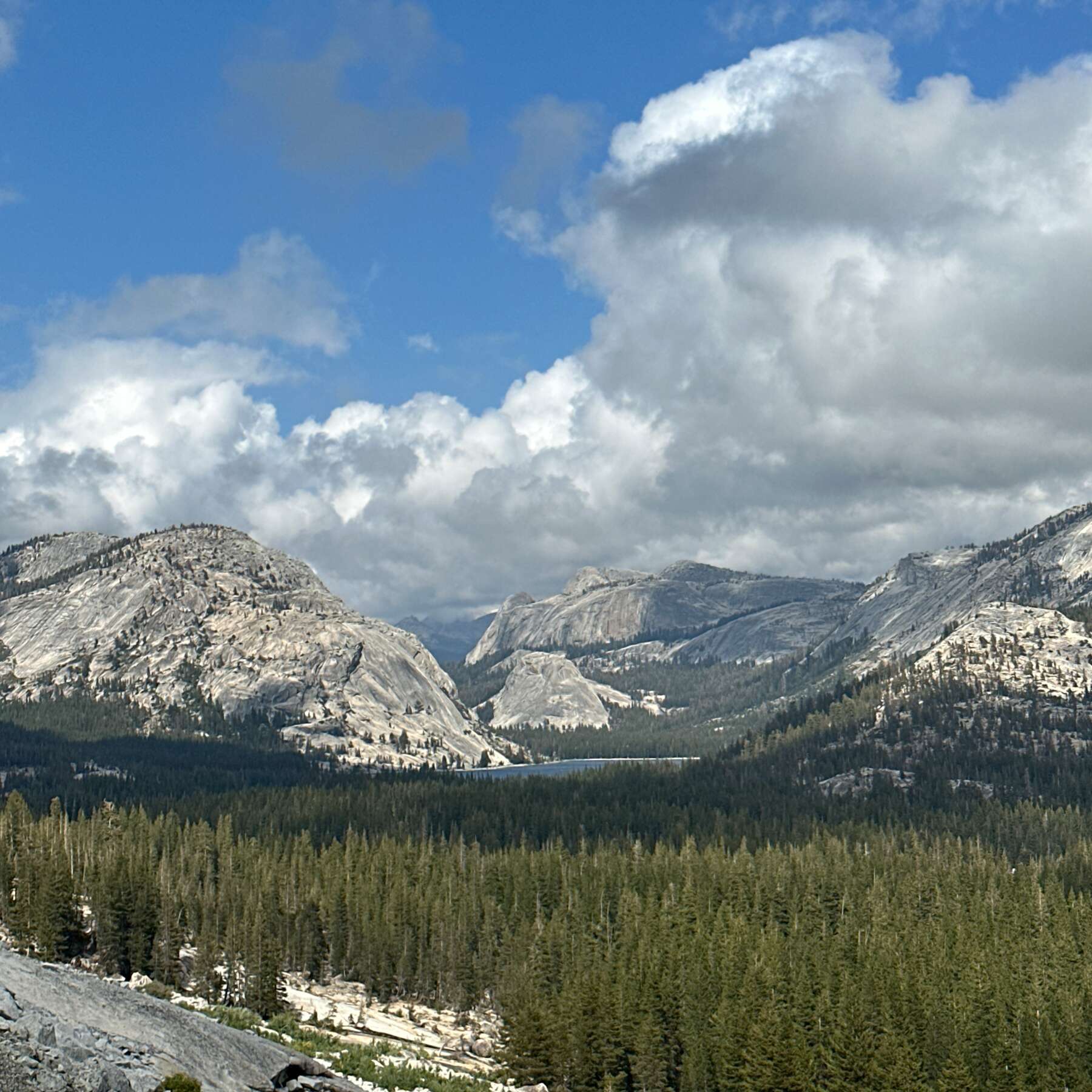 Yosemite - Camping and Hiking Soiree 