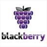 InterNations Atyrau Social Event October - Back to Blackberry