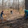Crothers Woods Trail Leaf Rake