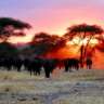 Safari and Beach in Kenia
