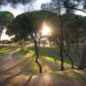 Evening Stroll in Dehesa De La Villa