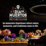 InterNations Dia De Muertos - Immersive Experience
