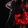 Rhythm of Latin Dance 