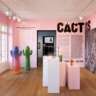  CACTUS - Une Exposition Originale, Botanique, Artistique !