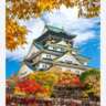 InterNations Osaka: Autumn Hike at Osaka Castle Garden