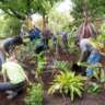 Community Gardening at the Fountain Gardens