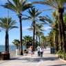 Walk and Chat on Marbella Paseo