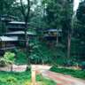 Ayatana Coorg