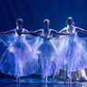 Ballet of Lights