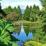 Van Dusen Gardens Visit