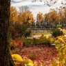 The Colors of Autumn in Florentine Parks