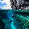 Let's Dive Fernando Do Noronha!
