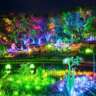 The Enchanted Garden | Brisbane's Ultimate Lighting Experience