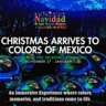 InterNations LV Christmas Colors of Mexico-Immersive Experience