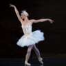 The Swan Lake Ballet