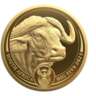 InterNations Pretoria: World of Coins