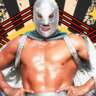ESTO ES LUCHA LIBRE!!!