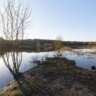 Let's Walk at Grand-Lieu (the Swamp of Grand Lieu Loop)