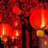 Lunar New Year Soirée:From Winter’s Farewell to Spring’s Welcome