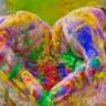 HOLI HAI🫟🫟 Festival of Colors 