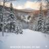 Winter Hike: Lets Get Together in Horse Hill  NH