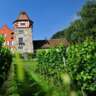 Exclusive Wine Tasting & Masterclass in Vaduz (LI)