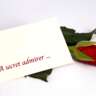 Secret Admirer . . .