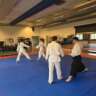 Aikido Beginners Course
