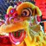 Lunar New Year Celebration: A Festival of Tradition