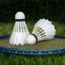 Sunday Badminton