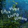 Living Waters - Immersive Experience