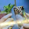 Gourmet Festival 2026 in Cologne