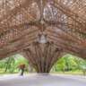 Bionik: Von Der Natur Lernen-Innovative Technik Und Architektur