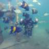 Discovery Scuba Diving in Khobar