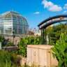 America’s State Flowers: an America 250 Celebration