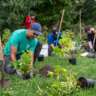 Neilson Park (Etobicoke) Tree Planting