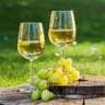 Wine Festival 