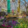 Spring Flower Show at Lincoln Park Conservatory