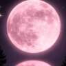 Pink Full Moon Yoga and Potluck