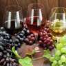 Under the Tuscan Sun - Wine Tasting