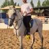 Sunset Horse Riding Experience – You’re Invited! 