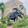 InterNations Pretoria: the Great Trek. A Day Trip.