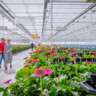Hike With Visits to Greenhouses