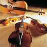 Eleganza Quartet