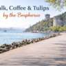 Walk, Coffee & Tulips by the Bosphorus