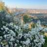 Leopoldberg-Nussberg After Work Walk and Talk