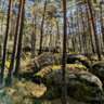 Hiking in Fontainebleau - Southern Segment