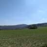 Oberursel -> Usingen (25km)