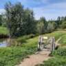 Hike - Delfgauw, Bieslandse Bos and Dobbenplas